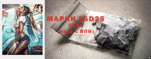 молекула духа Магадан