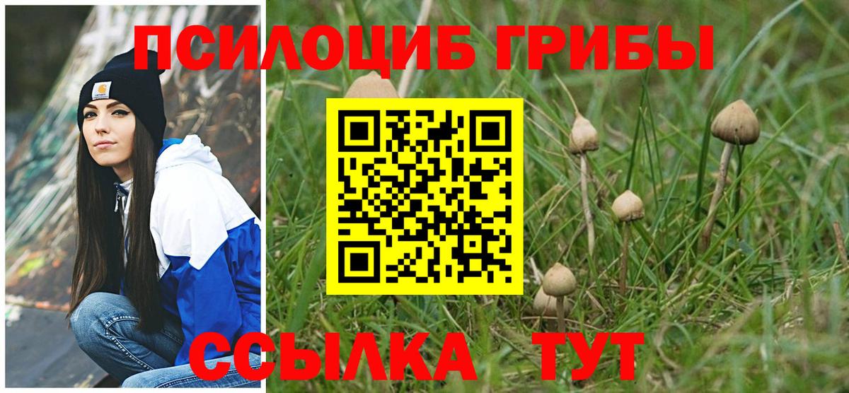 Псилоцибиновые грибы MAGIC MUSHROOMS Малоярославец