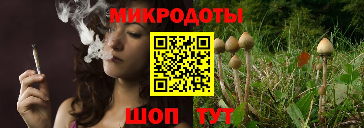 сколько стоит  Галлюциногенные грибы мухоморы  Вход с VPN  Малоярославец 