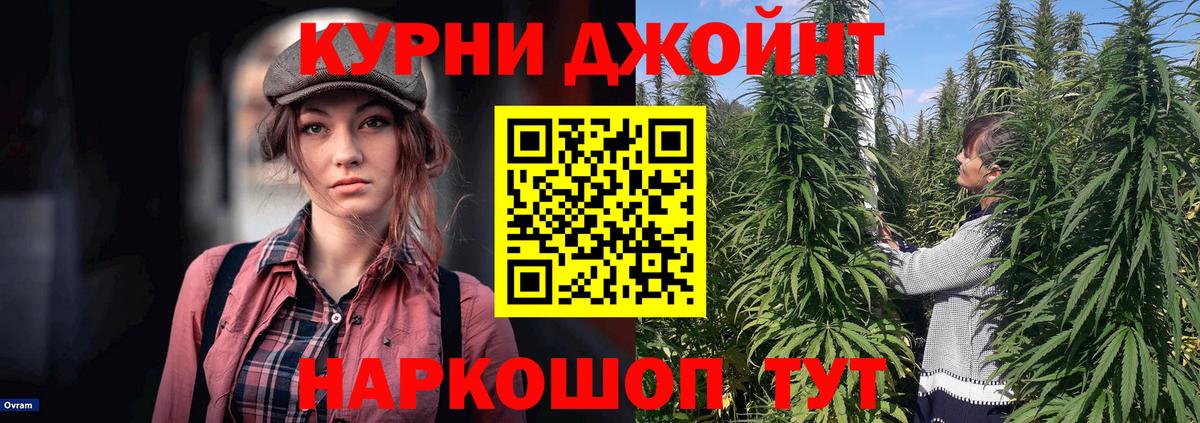 МАРИХУАНА сатива Малоярославец